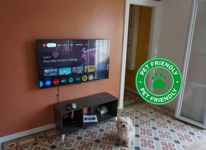 Cosy Appartement 4 Personnes Aux Arceaux - Proche Centre Ville Montpellier Luaran gambar